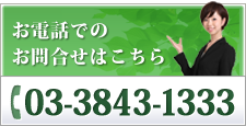 お電話でのお問い合わせはこちら　03-3843-1333